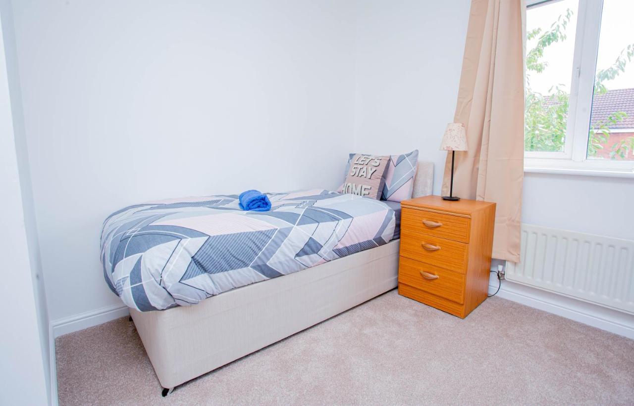 Intellect Apartment
