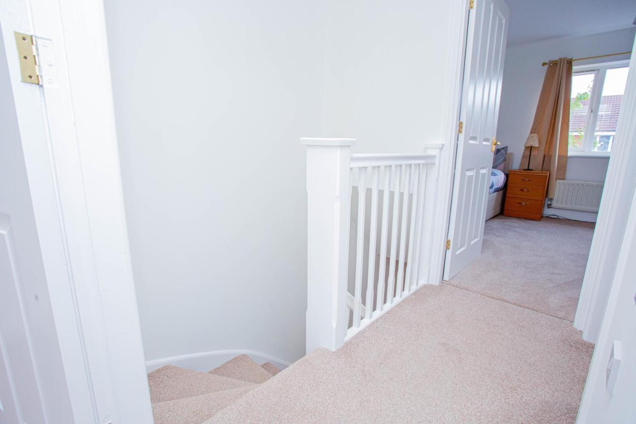 Intellect Apartment